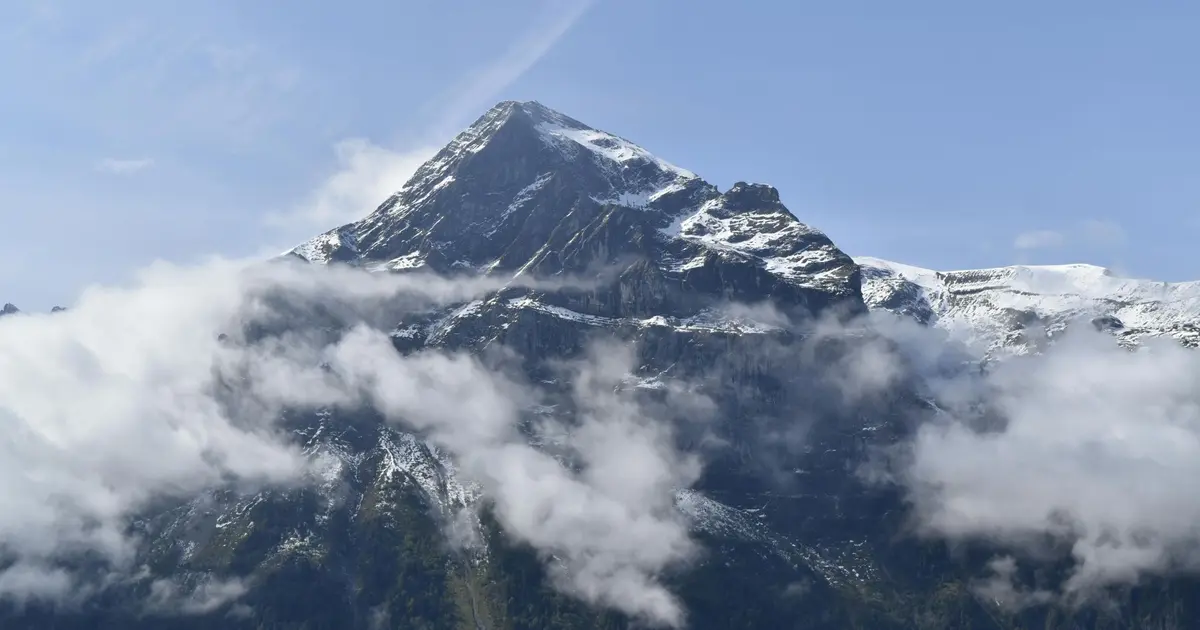 Carnuta