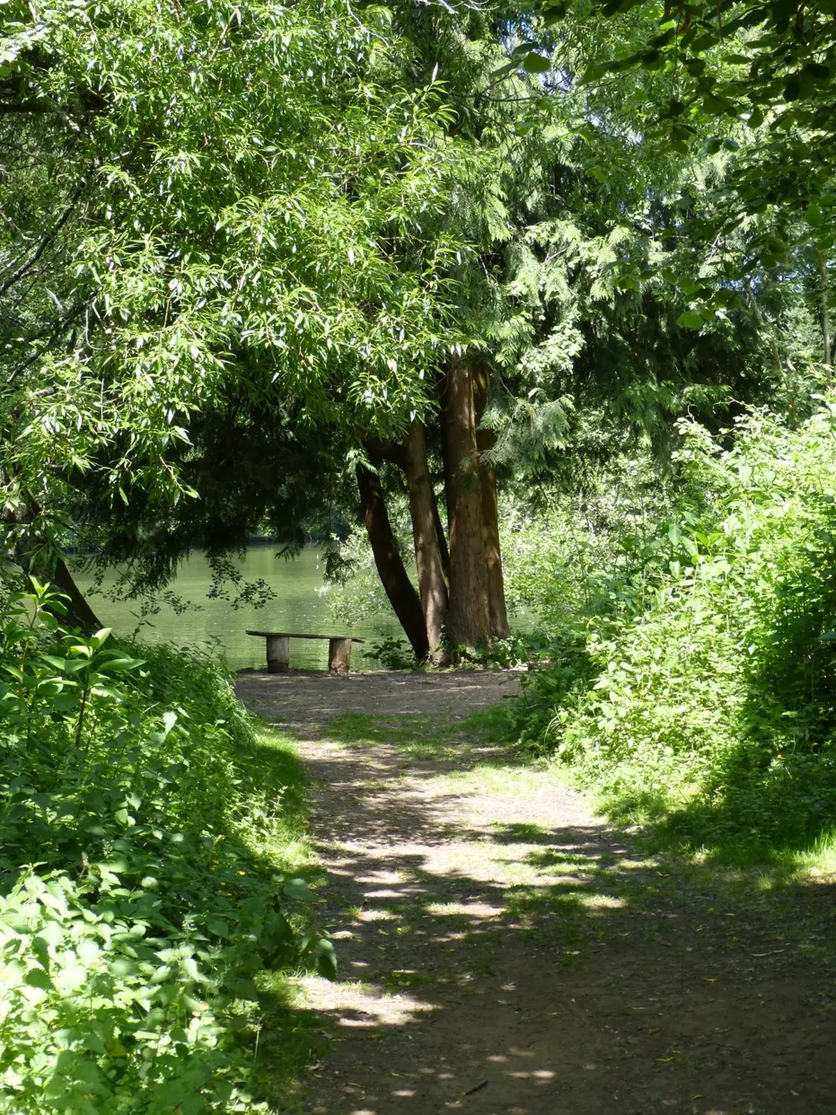 Patrimoine sur le pouce - Autour du Moulin de Rousseau