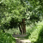 Patrimoine sur le pouce - Autour du Moulin de Rousseau