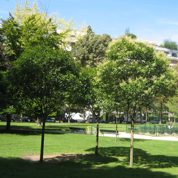 Patrimoine vert et héritage : Jardin du Ranelagh