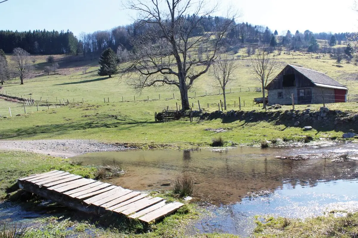Les pâturages du Gresson