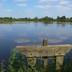 Pause détente à l'étang d'Ex-chèvre