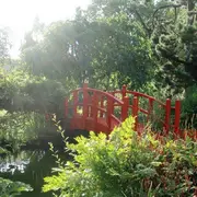 Pause Patrimoine : les jardins acte 2 le jardin botanique