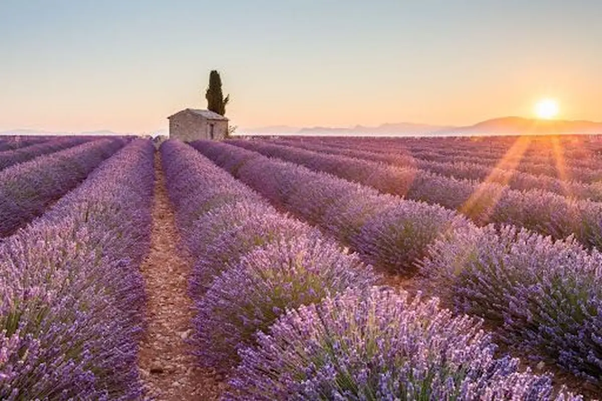 Paysage de Provence