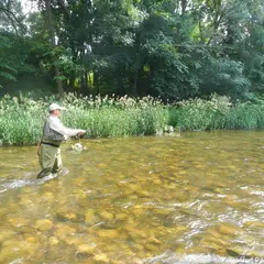 Vert Pêche