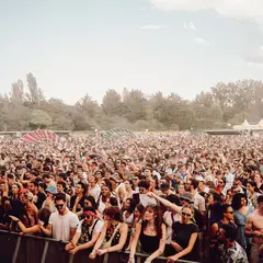 Peacock Society Festival 2026