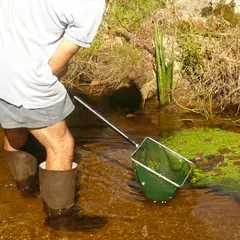 Pêche à l'écrevisse