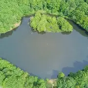 Pêche au lac des Picades à Brameloup