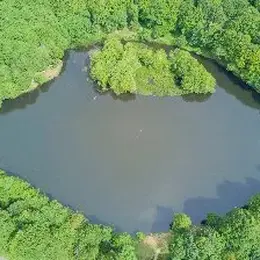 Pêche au lac des Picades à Brameloup
