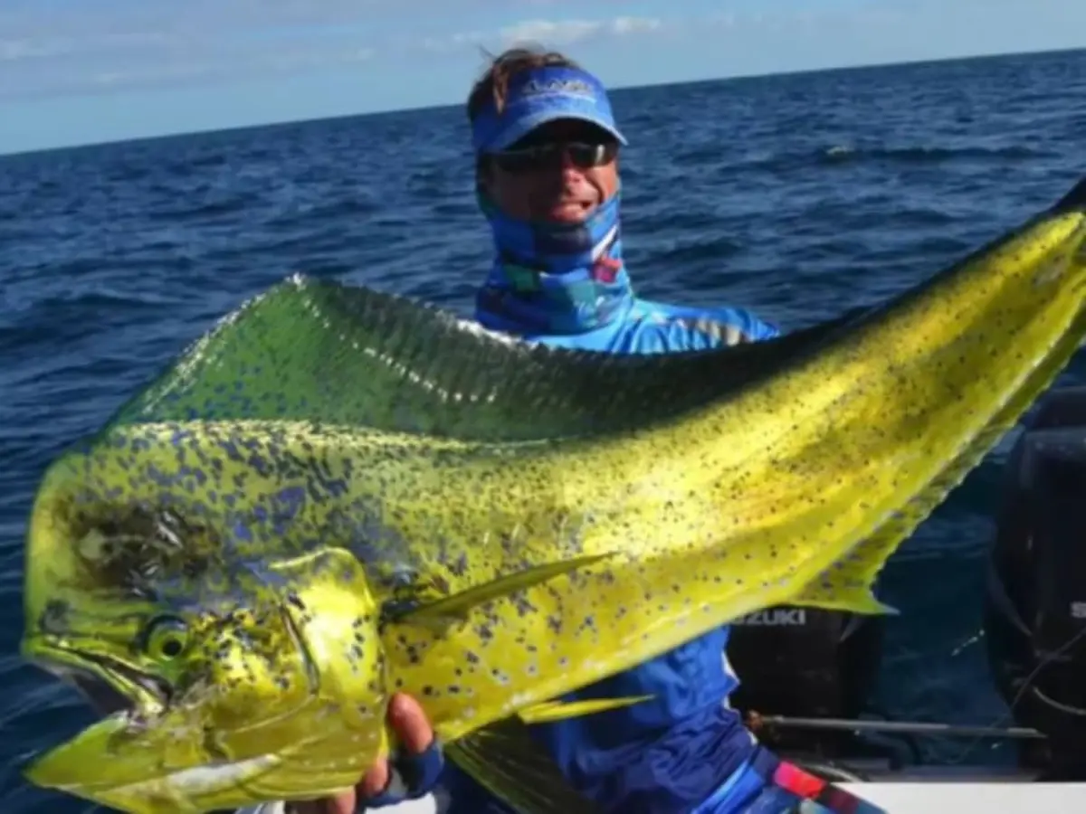 Pêche au Thon en bateau au départ de Saint-Laurent-du-Var (06)