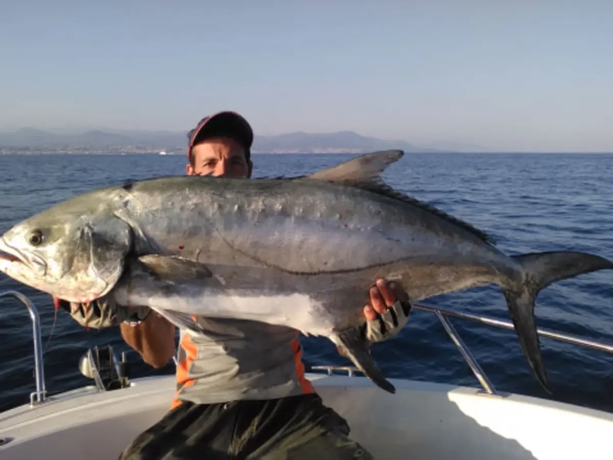 Pêche thon rouge No Kill au départ du Golfe-Juan (06)