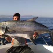 Pêche thon rouge No Kill au départ du Golfe-Juan (06)