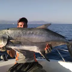 Pêche thon rouge No Kill au départ du Golfe-Juan (06)