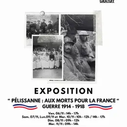 Pélissanne : aux morts pour la France Guerre 1914-1918 - Exposition