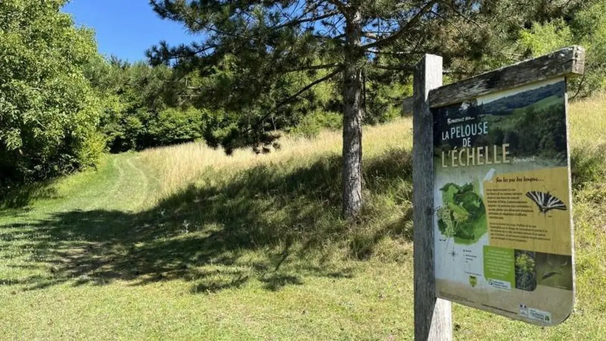 Pelouse de l'échelle - JEP 2026