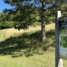 Pelouse de l'échelle - JEP 2026