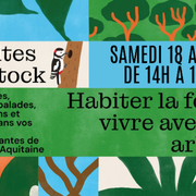 Pépites en stock | Habiter la forêt, vivre avec les arbres !