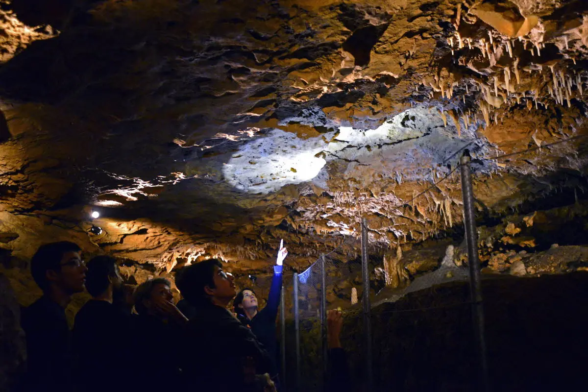 Percez le mystère des grottes de la Norée