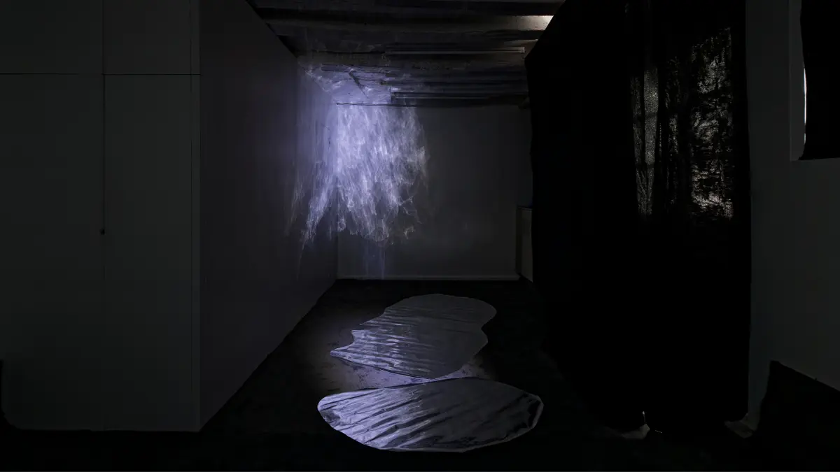 Performance artistique : The Space of the Tongue