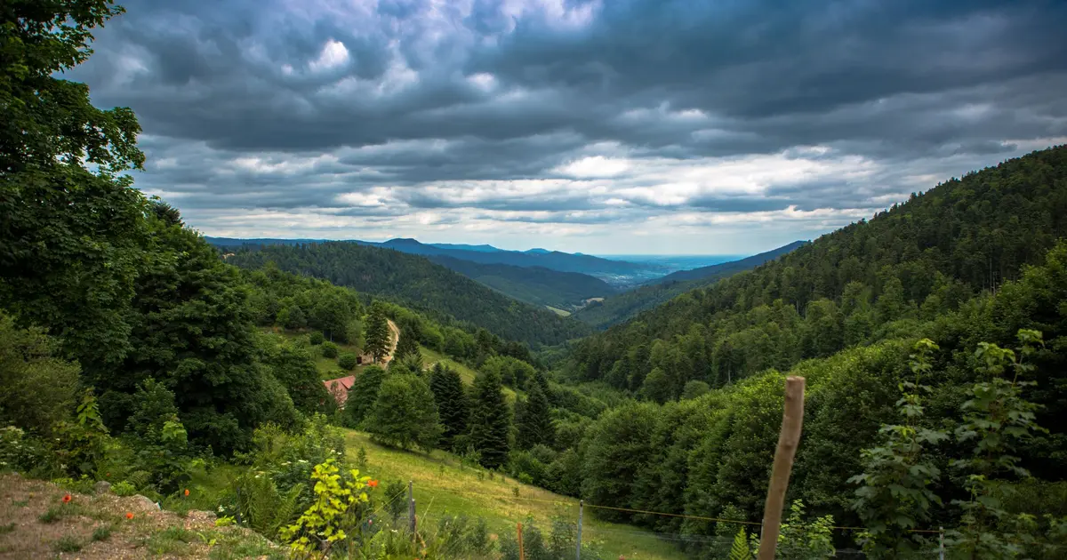 Vue du petit Ballon dans les Vosges en Alsace
