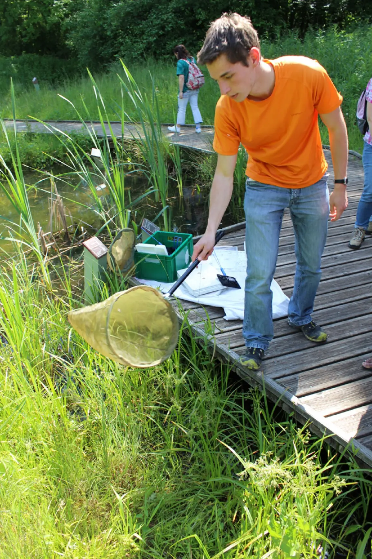 Les visites guidées permettent de mieux connaître la biodiversité de la Petite Camargue alsacienne