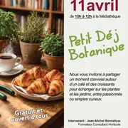 Petit déj Botanique