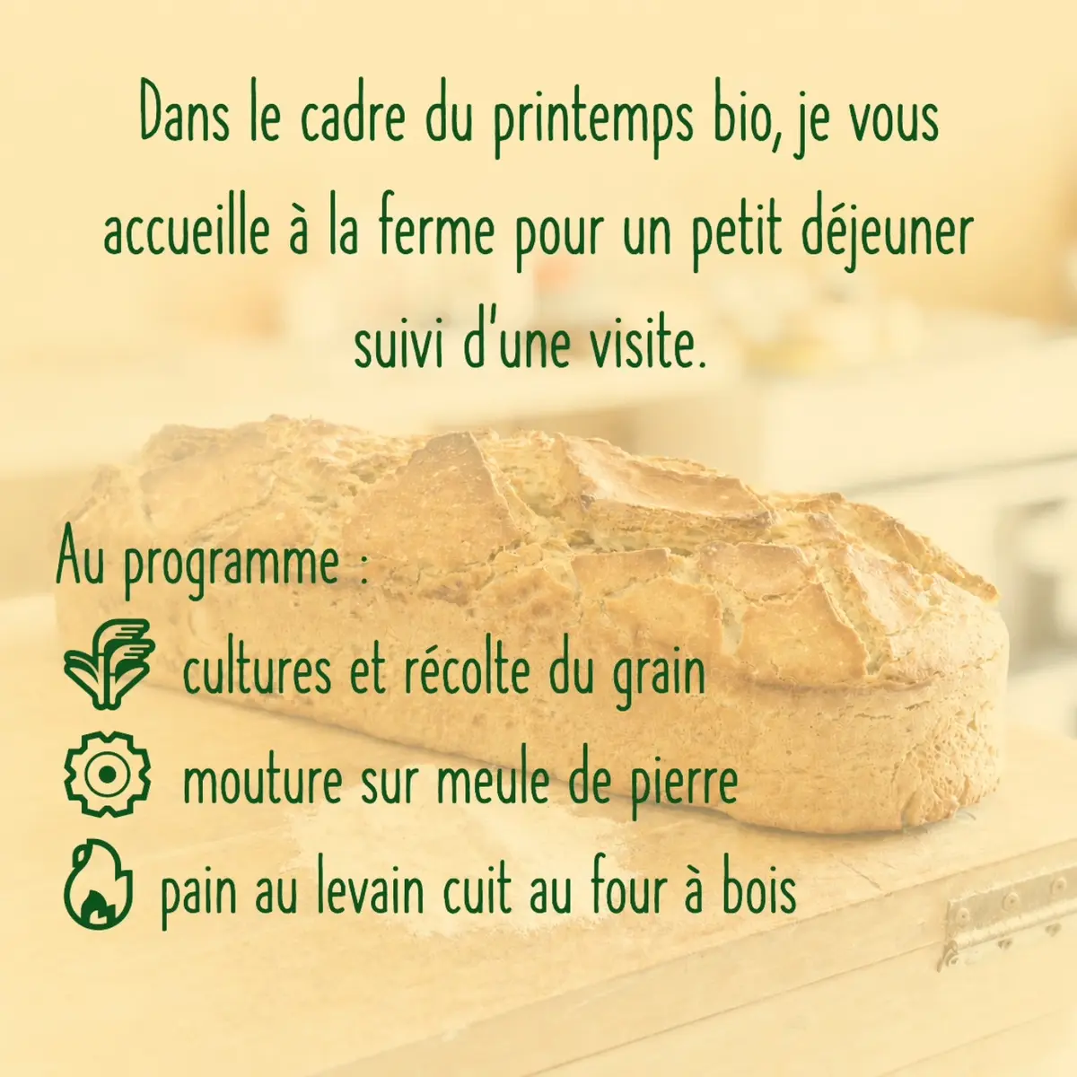 Petit déjeuner, dégustation et visite de ferme d'un paysan boulanger