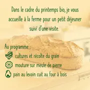 Petit déjeuner, dégustation et visite de ferme d'un paysan boulanger