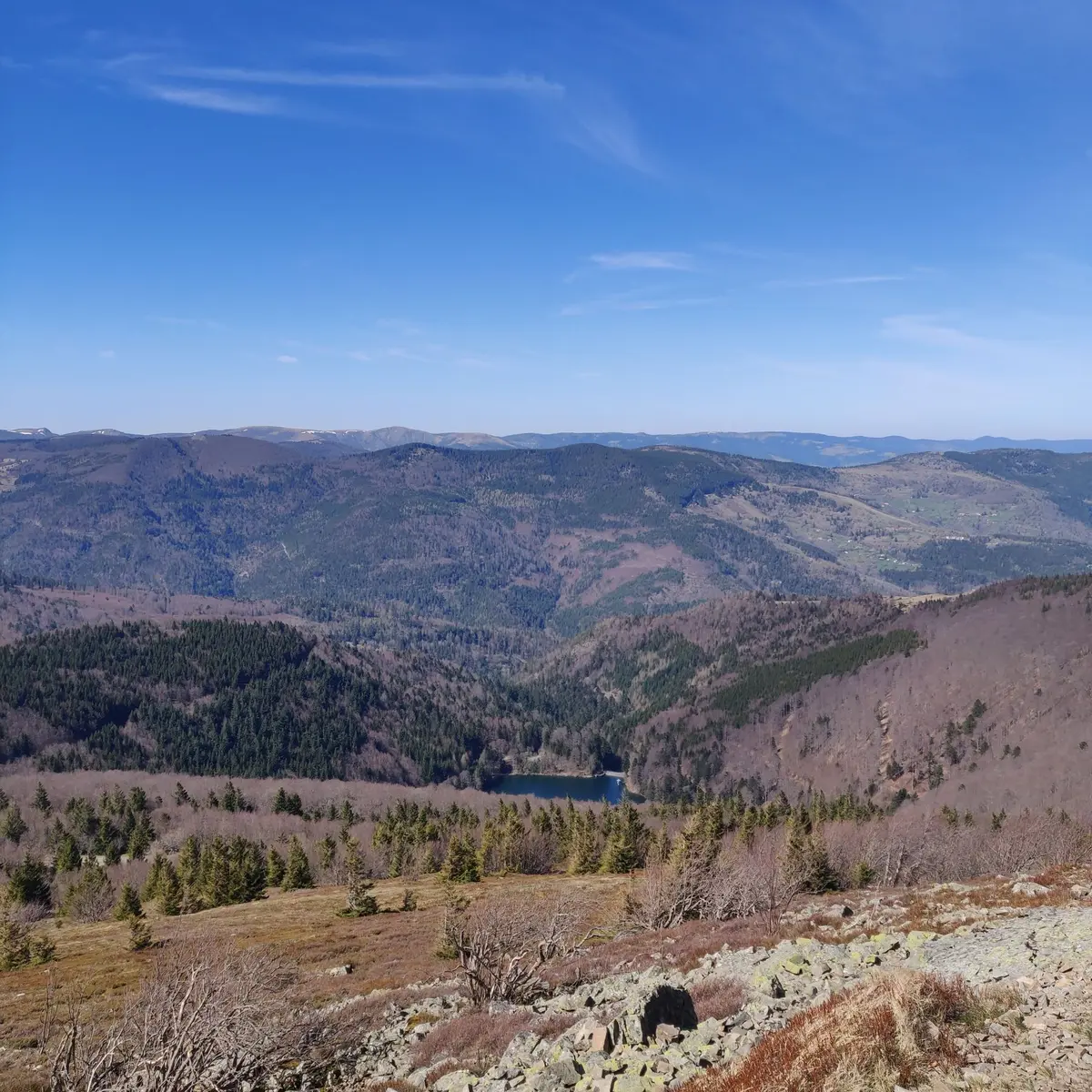 Petit guide du savoir-vivre en nature