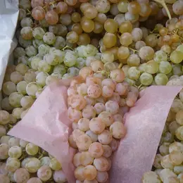 Petit Marché Traditionnel De Creissan