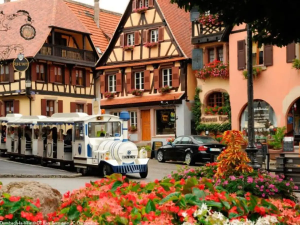 Petit Train du Vigneron à Dambach-la-Ville (67)