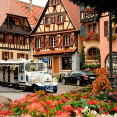Petit Train du Vigneron à Dambach-la-Ville (67)