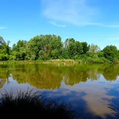 Petite Camargue Alsacienne