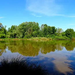 Petite Camargue Alsacienne
