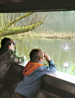 Petite Camargue Alsacienne