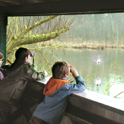 Petite Camargue Alsacienne
