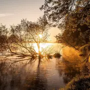 Petite histoire d'une grande voyageuse