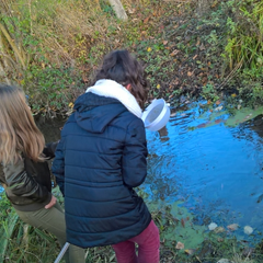 Petites bêtes aquatiques