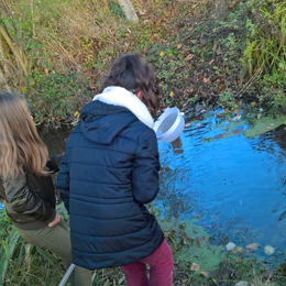 Petites bêtes aquatiques