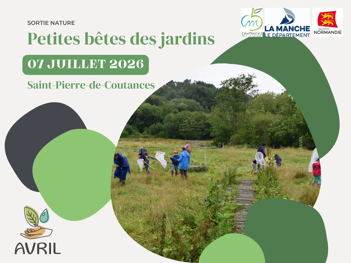Petites bêtes des jardins