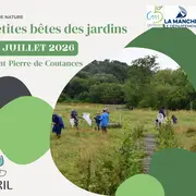 Petites bêtes des jardins
