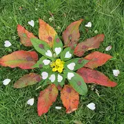 Petits artistes de la nature (Land art)
