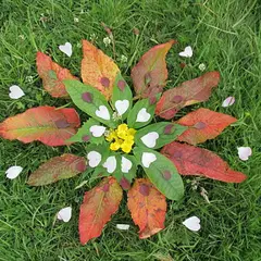 Petits artistes de la nature (Land art)