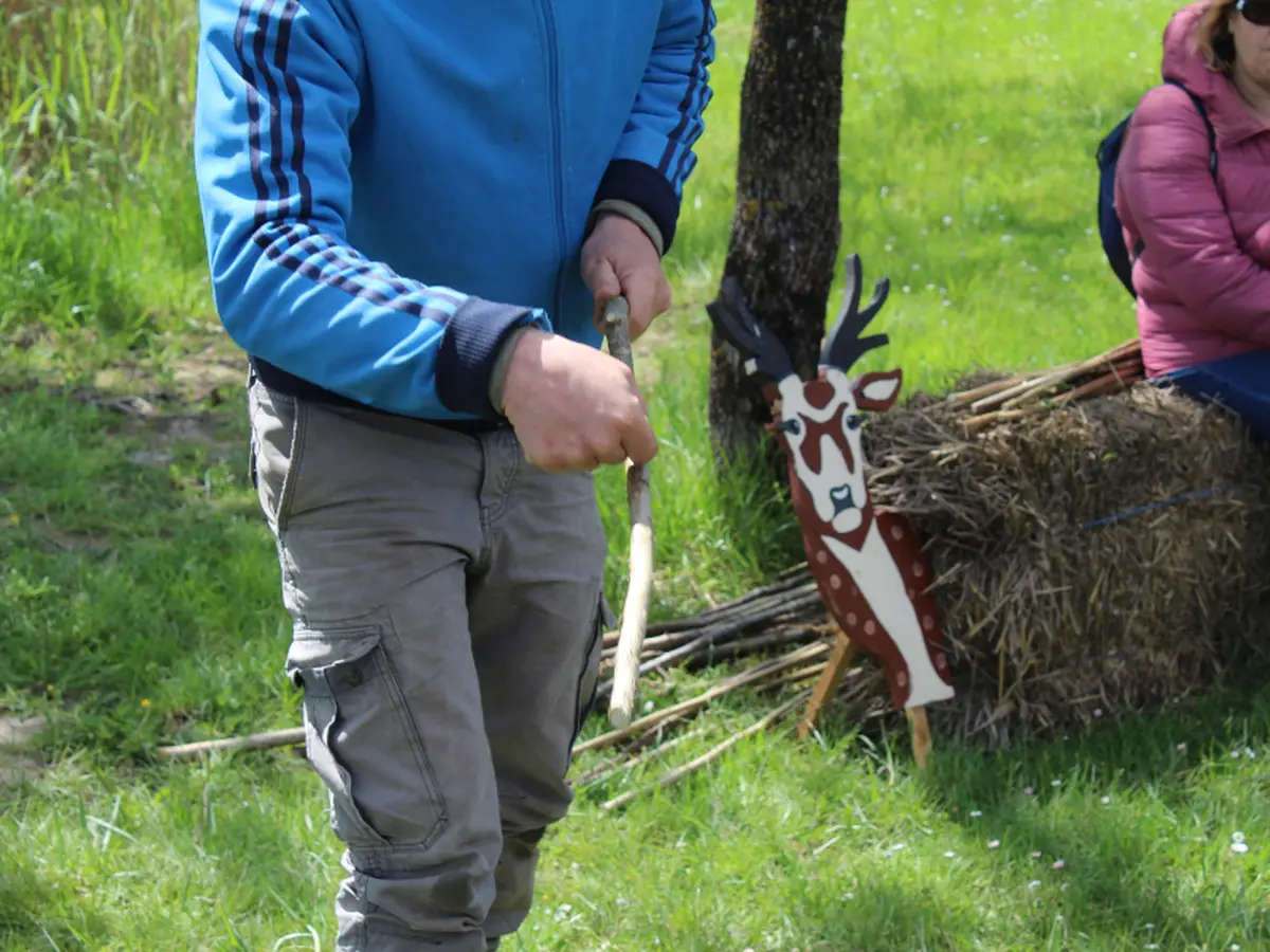 Petits Aventuriers à Terres d'Oiseaux