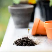 Petits chantiers au jardin