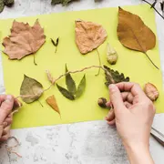 Petits explorateurs et grands créateurs