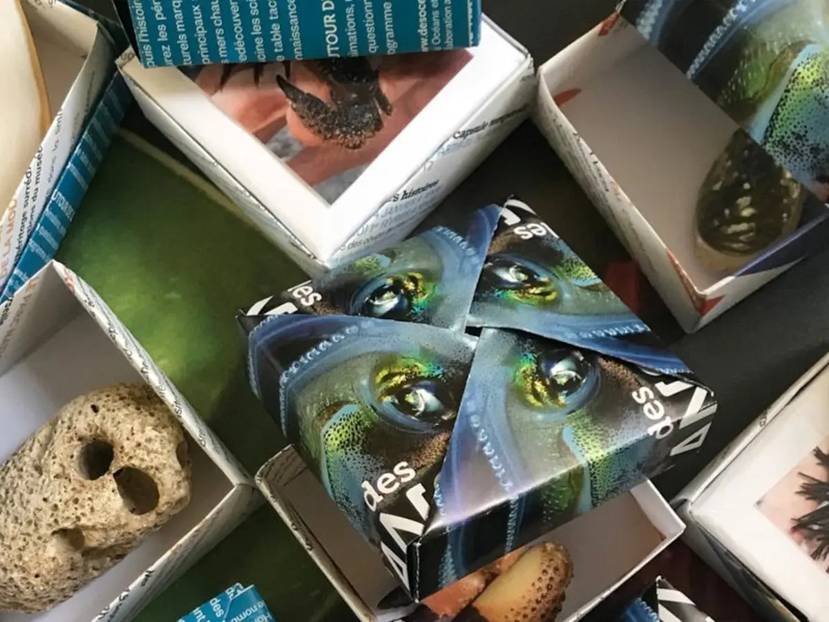 Petits jeux Muséum
