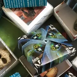Petits jeux Muséum