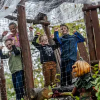 L'ambiance d'Halloween s'empare de la Forêt d'Idéfix &copy; S.CAMBON