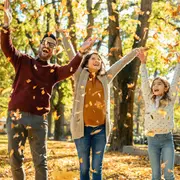 3 idées sorties pour ce week-end en Avignon du 28 au 30 novembre